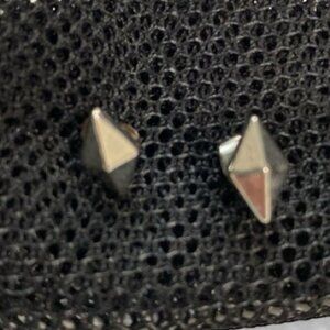 Silver Studds Earrings
